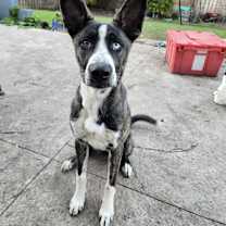 Thumbnail photo of Gia #3