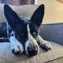 Thumbnail photo of Gia #4