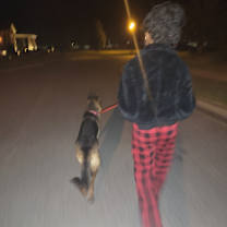 Thumbnail photo of Porsha #2