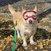 Thumbnail photo of Mikko #4