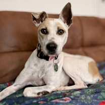 Thumbnail photo of Holly #1