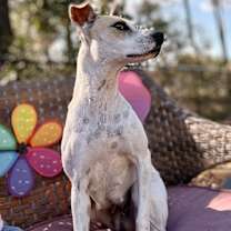 Thumbnail photo of Holly #2