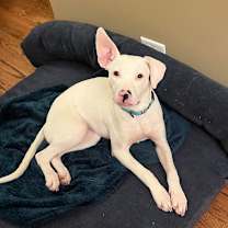 Thumbnail photo of Lisa #1