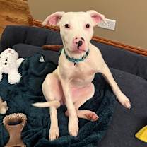 Thumbnail photo of Lisa #2