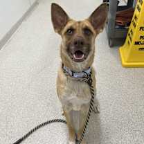 Thumbnail photo of Wendy #1