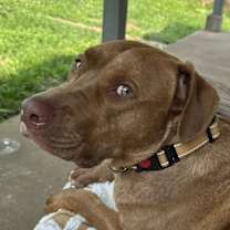 Thumbnail photo of Odin #4