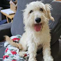 Thumbnail photo of Sake #1