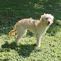 Thumbnail photo of Sake #2