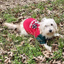 Thumbnail photo of Sake #3