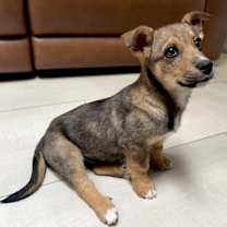 Thumbnail photo of Ryah #2