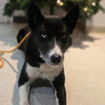 Thumbnail photo of Tessa #1