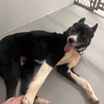 Thumbnail photo of Tessa #2