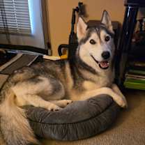 Thumbnail photo of Maya #2