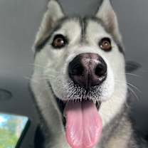 Thumbnail photo of Maya #3