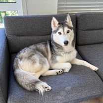 Thumbnail photo of Maya #4