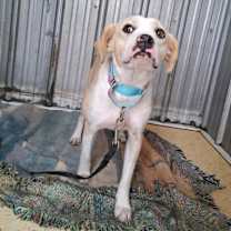 Thumbnail photo of Maeve #1