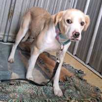 Thumbnail photo of Maeve #2