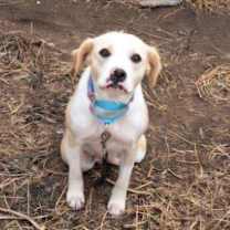 Thumbnail photo of Maeve #3