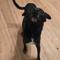 Thumbnail photo of Daisy #4