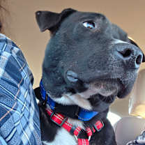 Thumbnail photo of Claude Monet #1