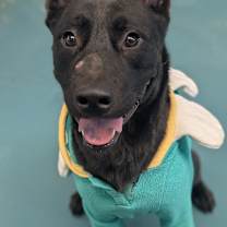 Thumbnail photo of Sky-walker #3