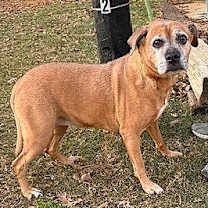 Thumbnail photo of Maggie #1