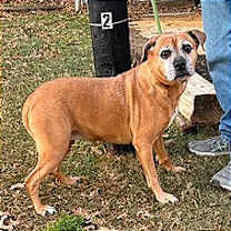 Thumbnail photo of Maggie #2