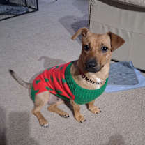 Thumbnail photo of Bay #1