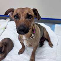 Thumbnail photo of Bay #4