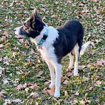 Thumbnail photo of Meg #2