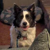 Thumbnail photo of Meg #3