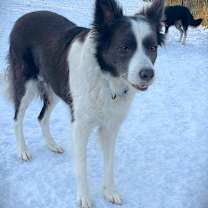 Thumbnail photo of Meg #4