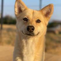 Thumbnail photo of Gowoon #2