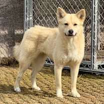 Thumbnail photo of Gowoon #3