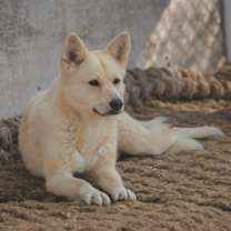 Thumbnail photo of Gowoon #4