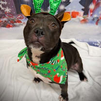 Thumbnail photo of Jackson #1