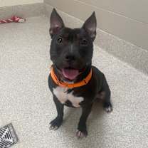 Thumbnail photo of Jackson #2