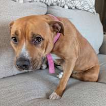 Thumbnail photo of Manilla #3