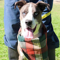 Thumbnail photo of Tuffy JuM #1