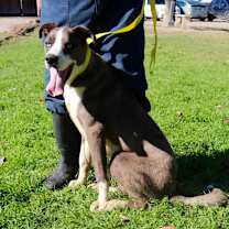 Thumbnail photo of Tuffy JuM #3