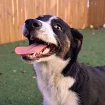 Thumbnail photo of Em JuM #1