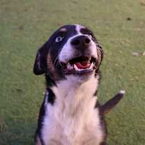 Thumbnail photo of Em JuM #4