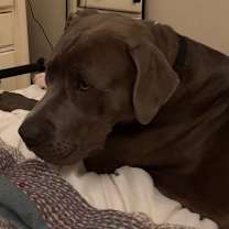 Thumbnail photo of Gill #1