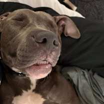 Thumbnail photo of Gill #2