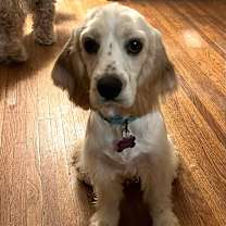 Thumbnail photo of Cero #1