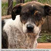 Thumbnail photo of Daisy 🌼 c! #1