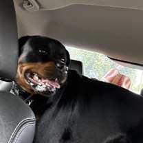 Thumbnail photo of Lucy #1