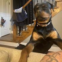 Thumbnail photo of Lucy #4