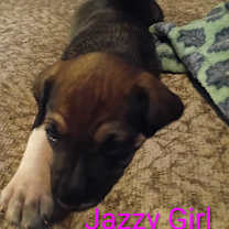 Thumbnail photo of Jazzy Girl #1