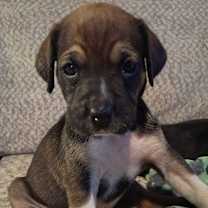 Thumbnail photo of Jazzy Girl #2